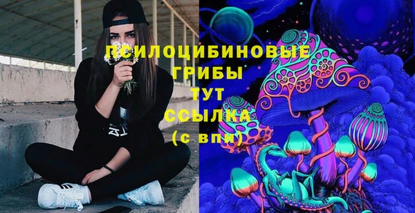 2c-b Белокуриха