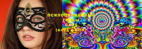 2c-b Белокуриха